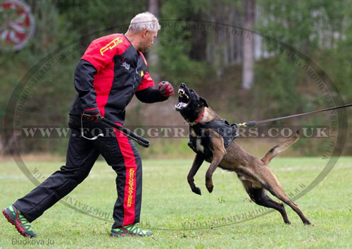 IPO protection suit for dog training